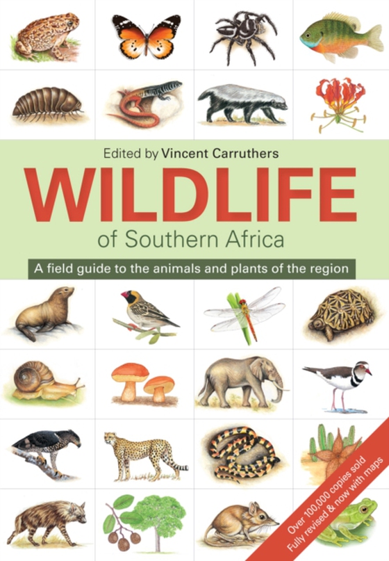 Wildlife of Southern Africa