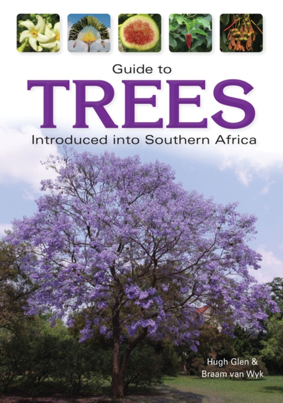 Guide to Trees Introduced into Southern Africa (e-bog) af Glen, Hugh