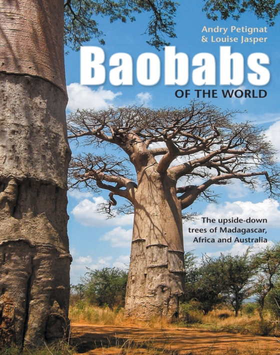 Baobabs of the World (e-bog) af Petignat, Andry