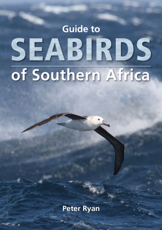 Guide to Seabirds of Southern Africa (e-bog) af Ryan, Peter