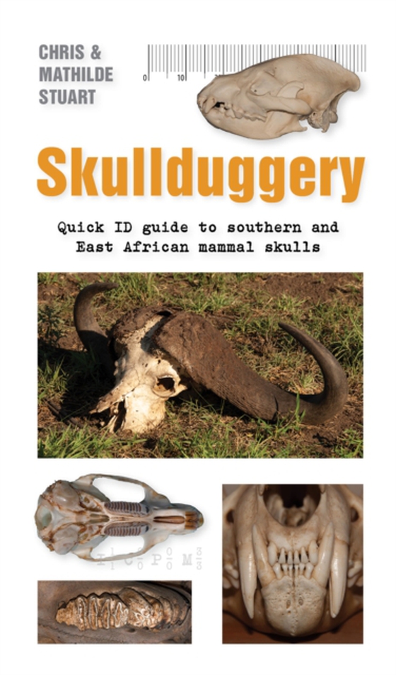 Skullduggery