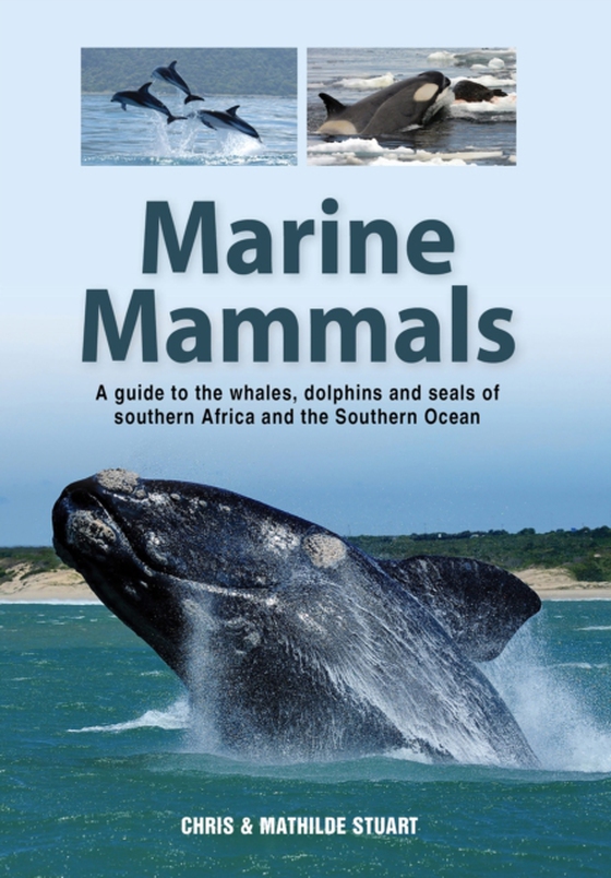 Marine Mammals