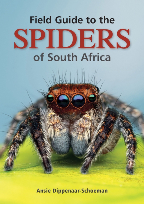 Field Guide to the Spiders of South Africa (e-bog) af Dippenaar-Schoeman, Ansie