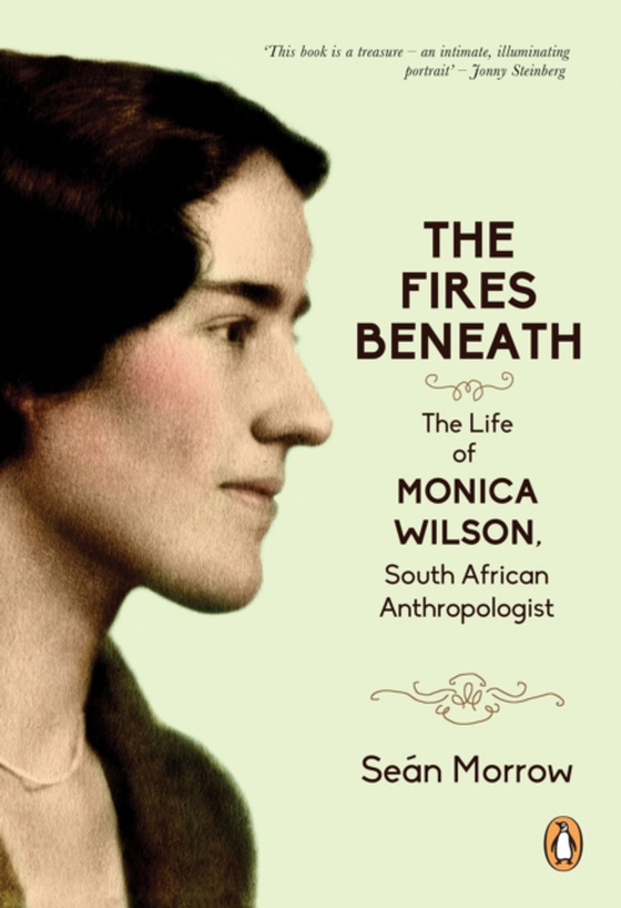 Fires Beneath (e-bog) af Morrow, Sean
