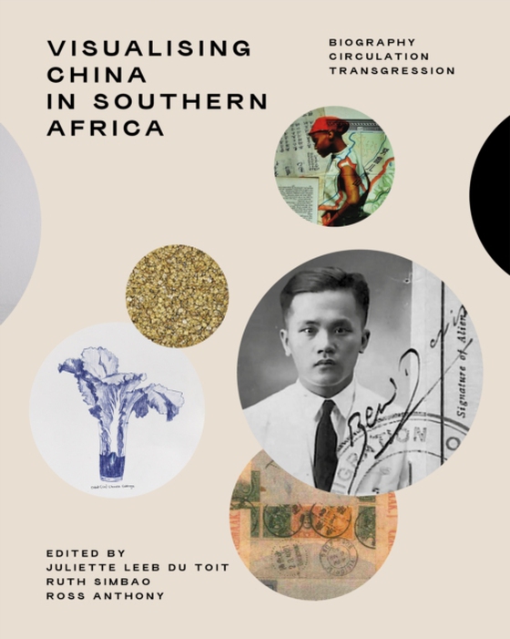 Visualising China in Southern Africa (e-bog) af Zhang, Lifang