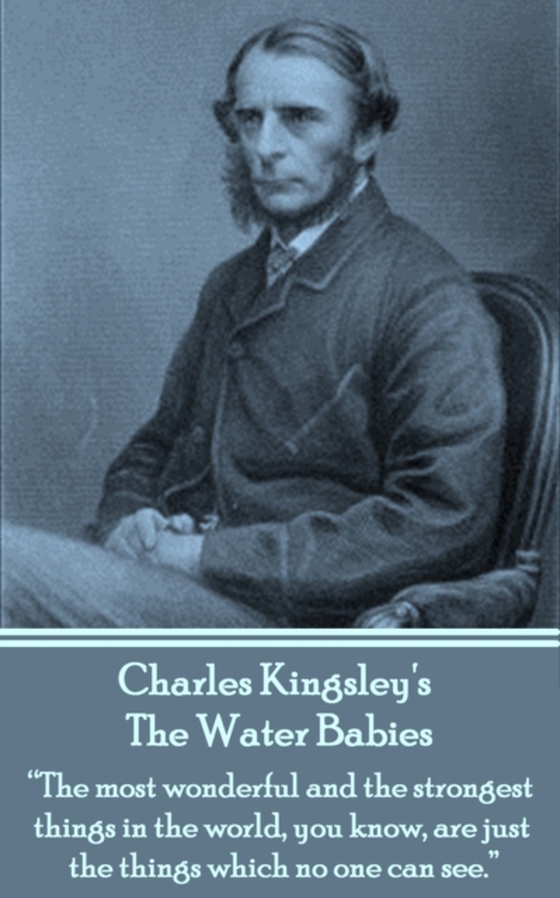 Water Babies (e-bog) af Charles Kingsley
