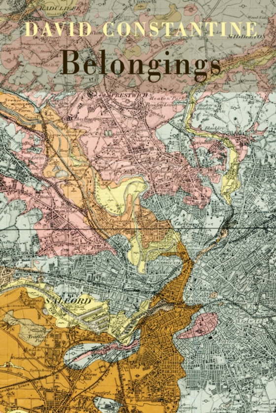 Belongings (e-bog) af Constantine, David