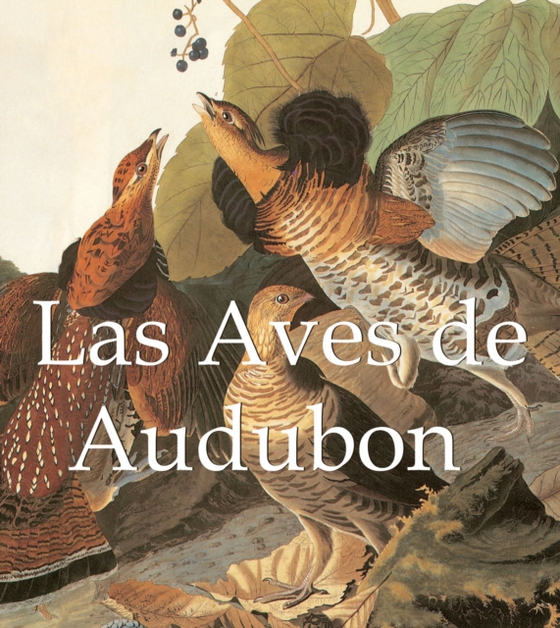 Las Aves de Audubon