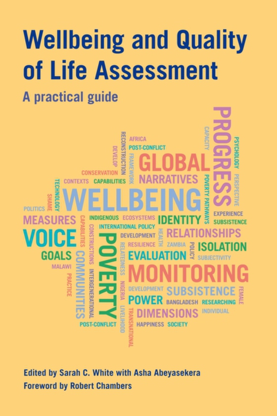 Wellbeing and Quality of Life Assessment (e-bog) af -