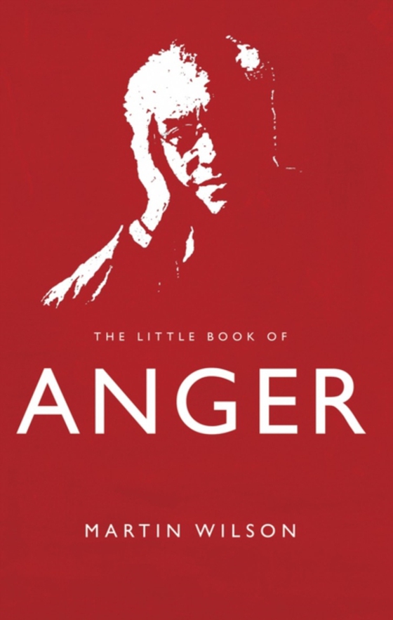 Little Book of Anger (e-bog) af Wilson, Martin