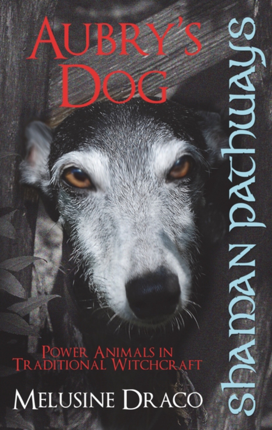 Shaman Pathways - Aubry's Dog: Power Animals In Traditional Witchcraft (e-bog) af Ruthven, Suzanne