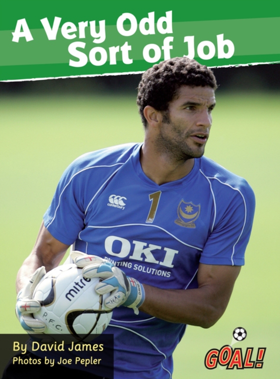 Very Odd Sort of Job (ebook) (e-bog) af David James