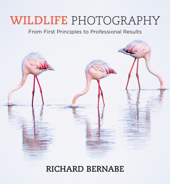 Wildlife Photography (e-bog) af Bernabe, Richard