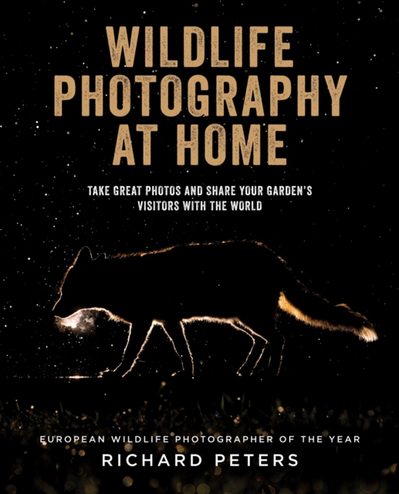 Wildlife Photography at Home