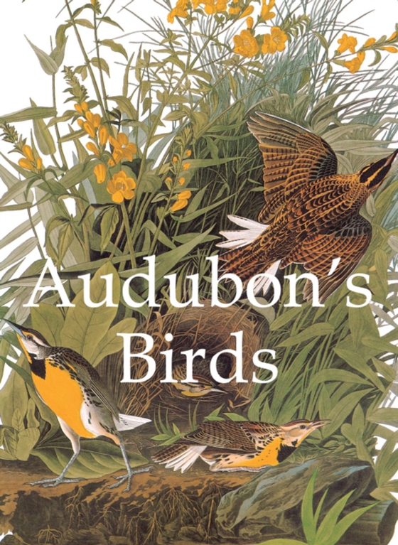 Audubon's Birds (e-bog) af John James Audubon, Audubon