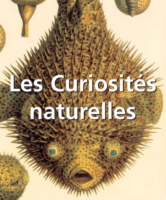 Les Curiosités naturelles (e-bog) af Victoria Charles, Charles