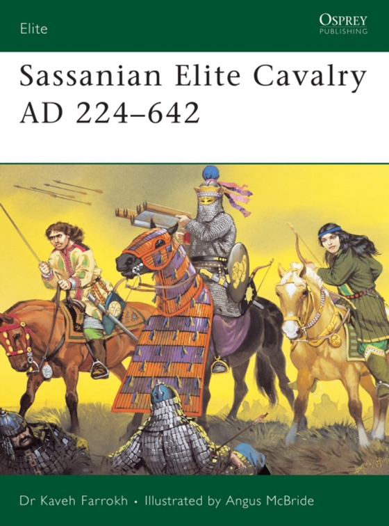 Sassanian Elite Cavalry AD 224 642