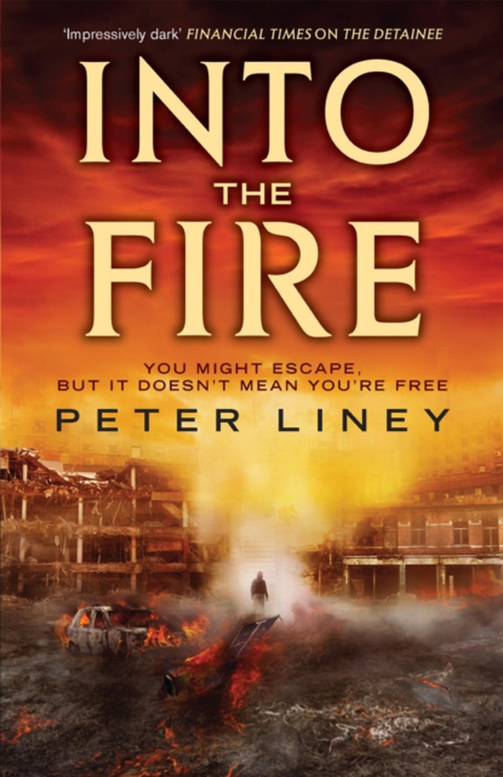 Into The Fire (e-bog) af Liney, Peter