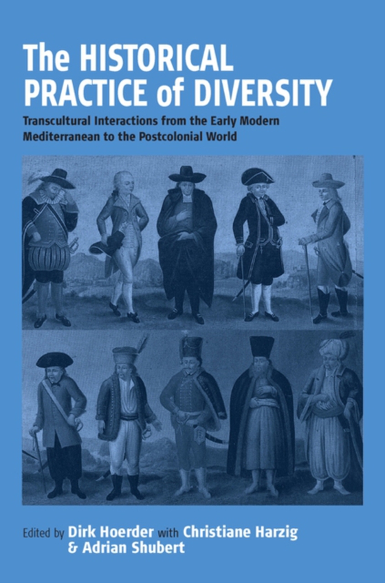 Historical Practice of Diversity (e-bog) af -