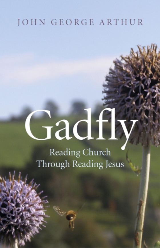 Gadfly: Reading Church Through Reading Jesus (e-bog) af Arthur, John George