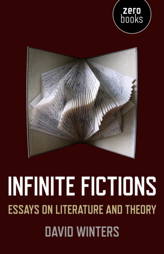 Infinite Fictions (e-bog) af Winters, David