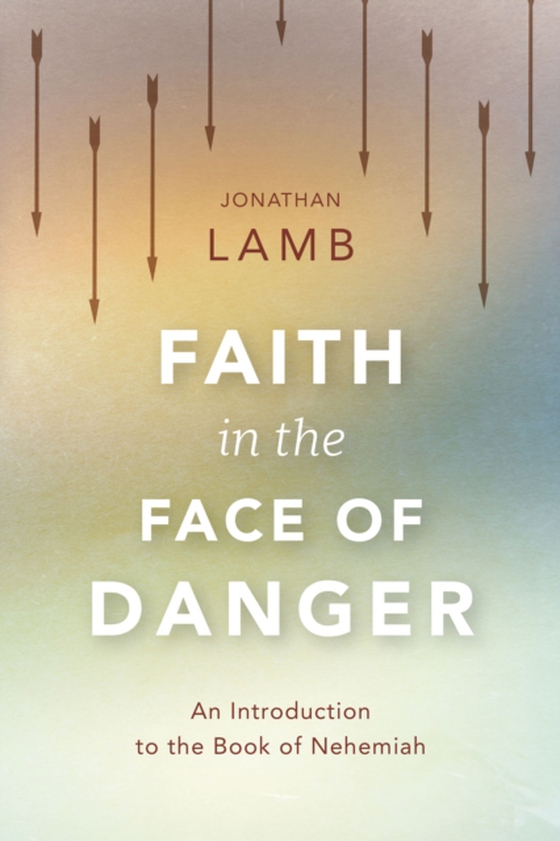 Faith in the Face of Danger (e-bog) af Lamb, Jonathan