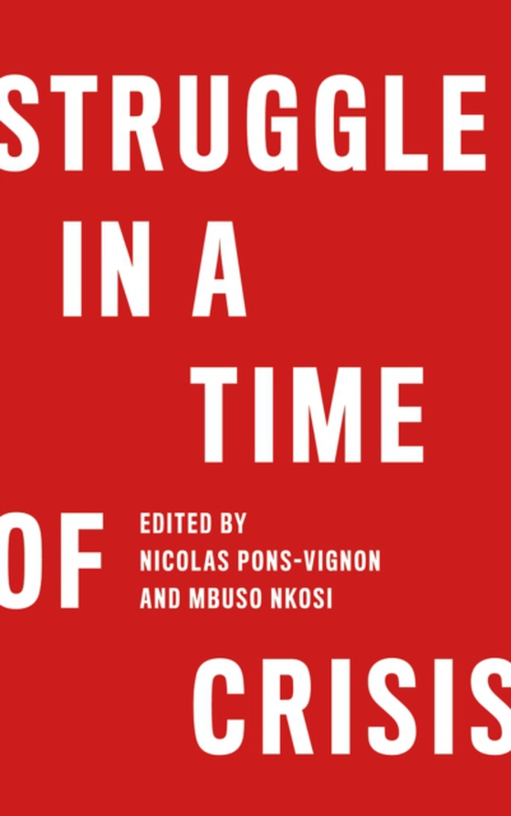 Struggle in a Time of Crisis (e-bog) af -