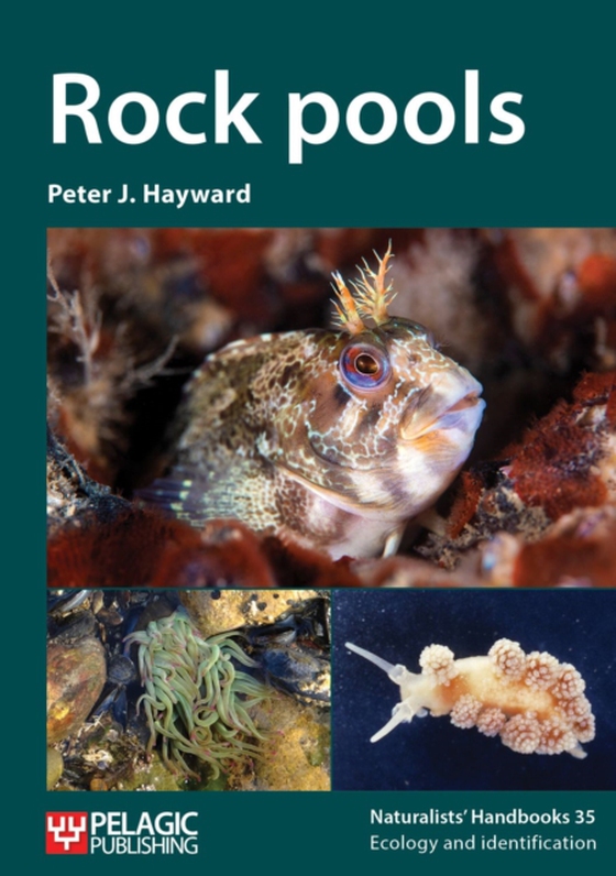 Rock pools (e-bog) af Hayward, Peter J.