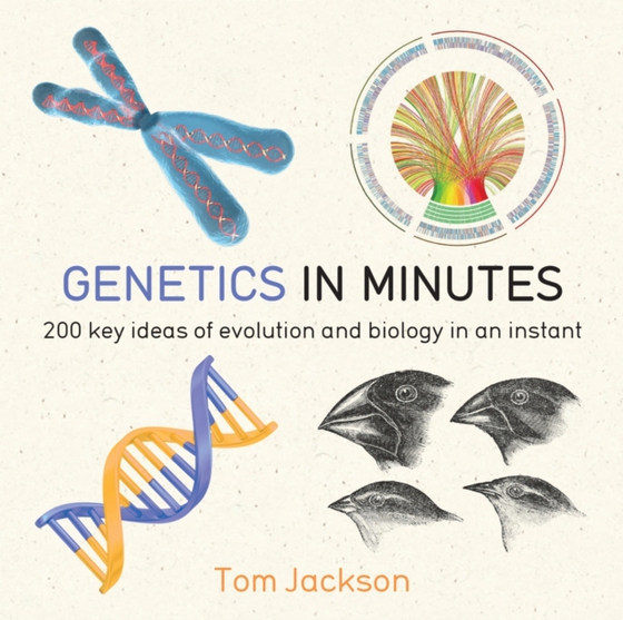 Genetics in Minutes (e-bog) af Jackson, Tom