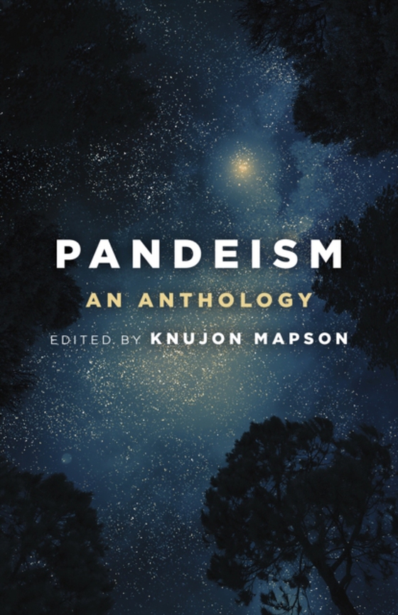 Pandeism (e-bog) af -