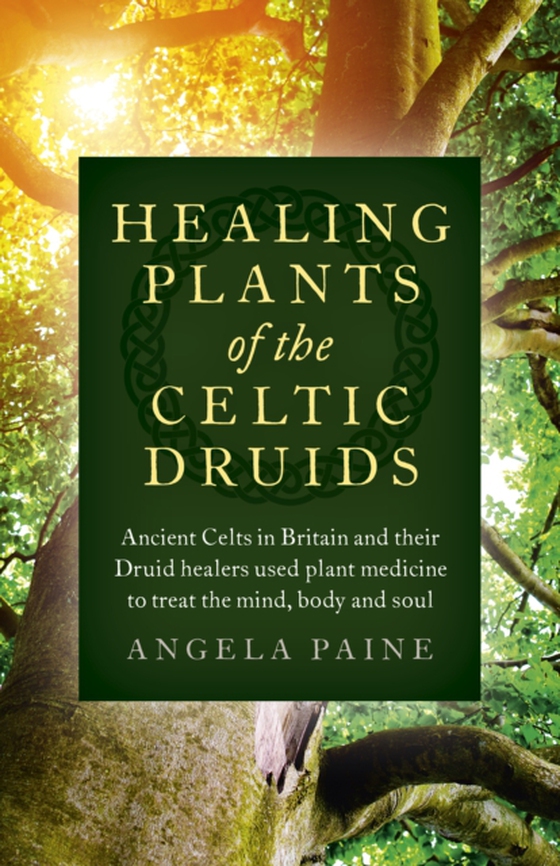 Healing Plants of the Celtic Druids (e-bog) af Paine, Angela