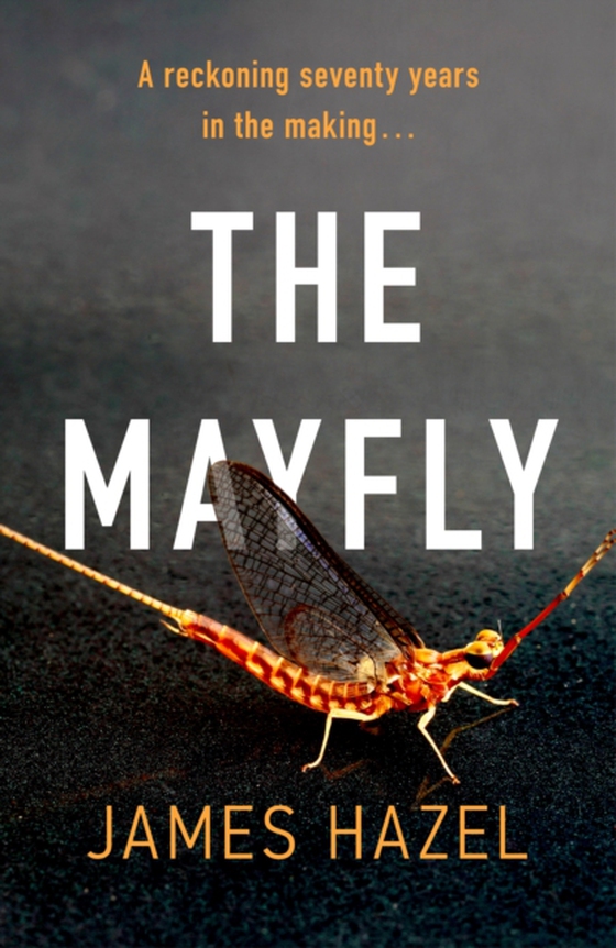 Mayfly