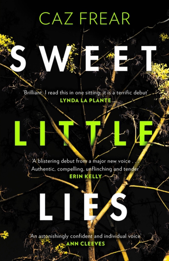 Sweet Little Lies (e-bog) af Frear, Caz