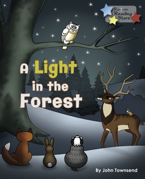 Light in the Forest (Ebook) (e-bog) af John Townsend