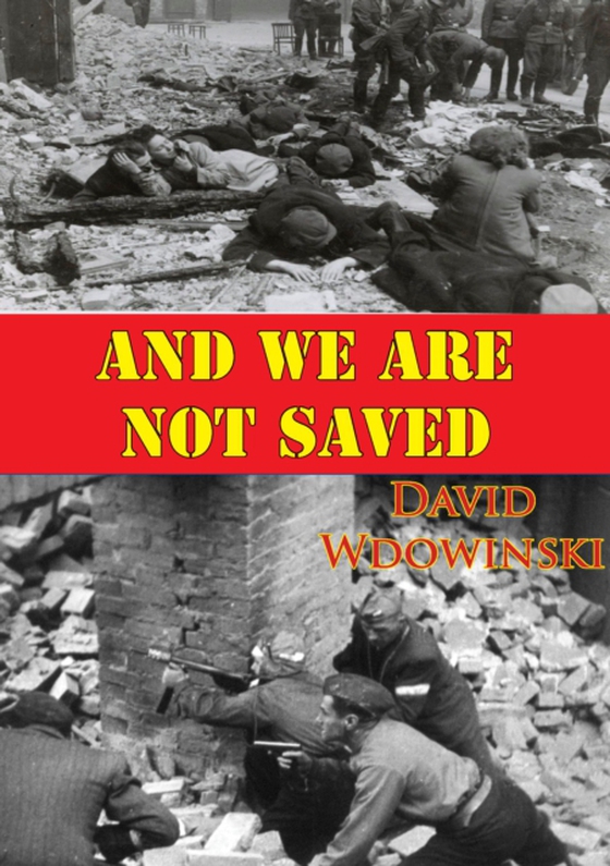 And We Are Not Saved (e-bog) af Wdowinski, David