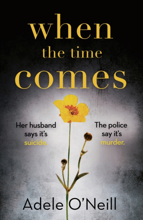 When the Time Comes (e-bog) af Adele O'Neill, O'Neill