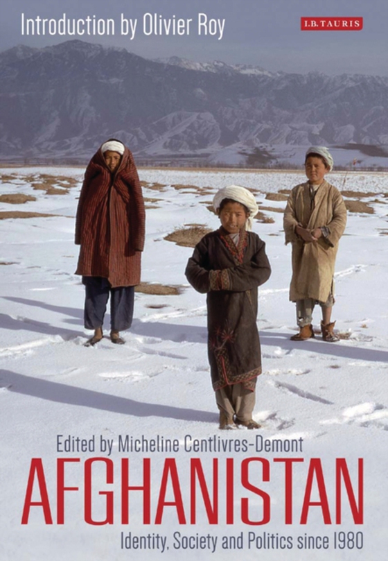 Afghanistan (e-bog) af -