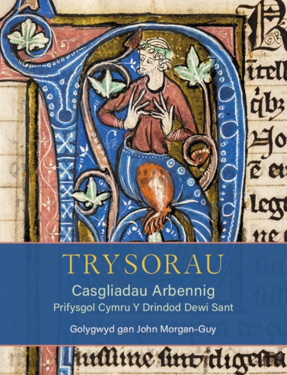 Trysorau: Casgliadau Arbennig Prifysgol Cymru Y Drindod Dewi Sant (e-bog) af -