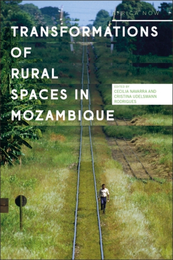 Transformations of Rural Spaces in Mozambique (e-bog) af -