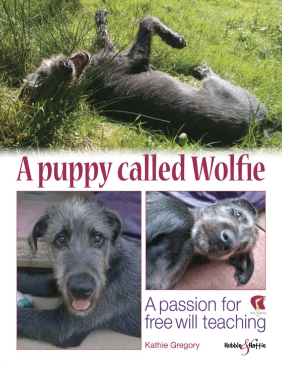 puppy called Wolfie (e-bog) af Gregory, Kathie