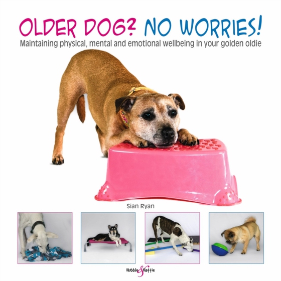Older dog? No worries! (e-bog) af Ryan, Sian