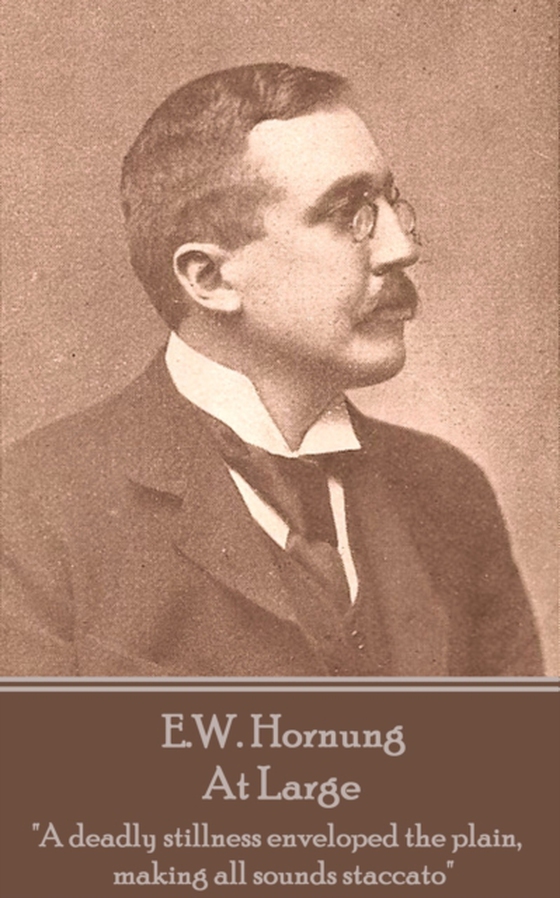 At Large (e-bog) af E. W. Hornung