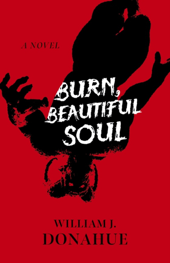 Burn, Beautiful Soul (e-bog) af Donahue, William J.