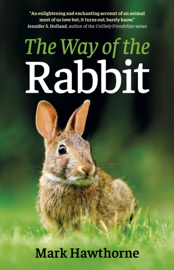 Way of the Rabbit