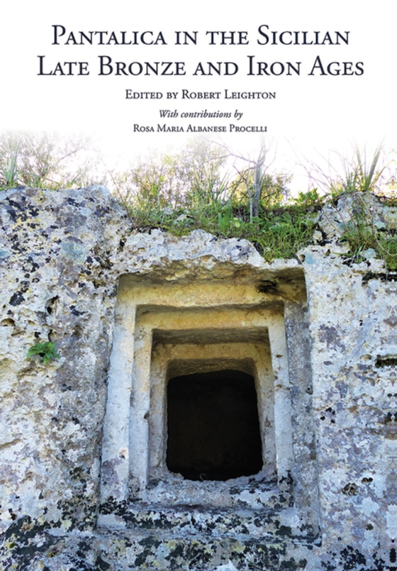 Pantalica in the Sicilian Late Bronze and Iron Ages (e-bog) af -