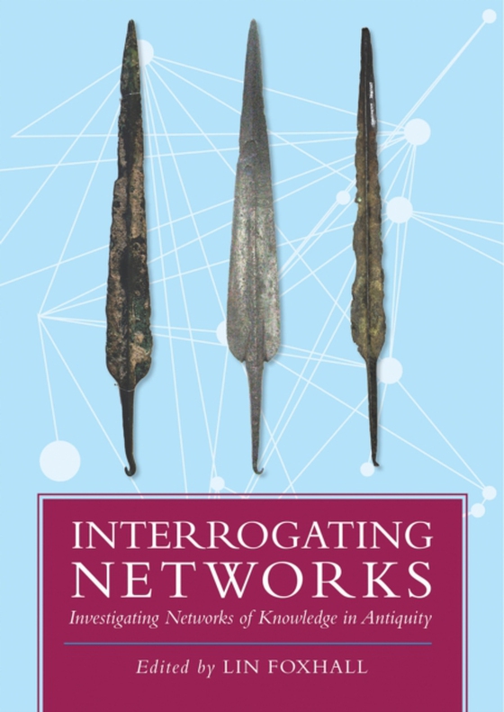 Interrogating Networks (e-bog) af -