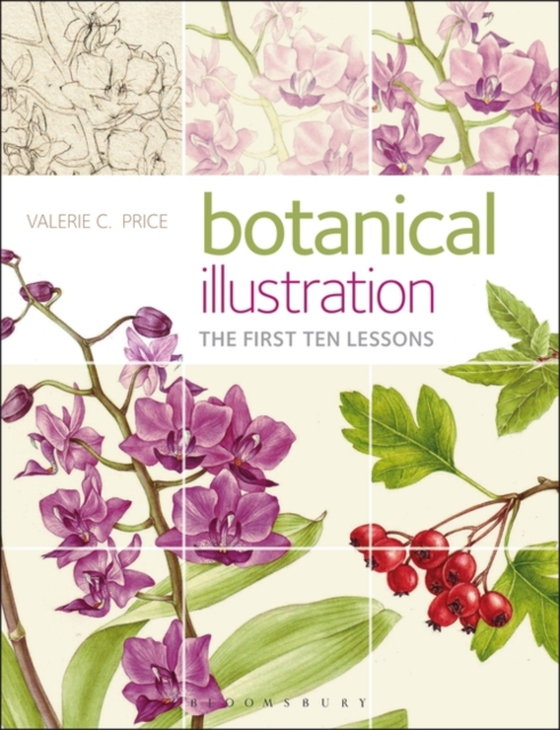 Botanical Illustration (e-bog) af Valerie Price, Price