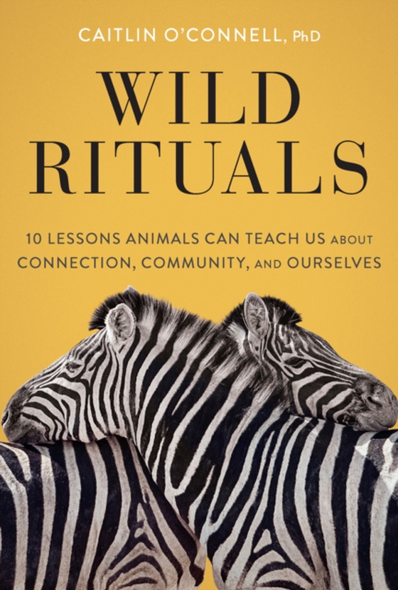 Wild Rituals