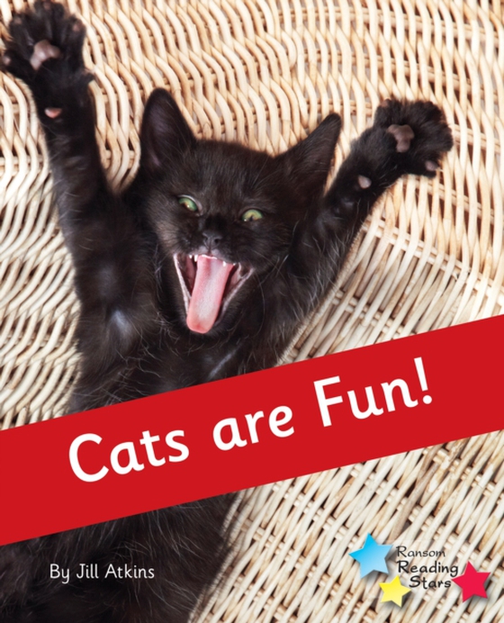 Cats are Fun! (e-bog) af Jill Atkins