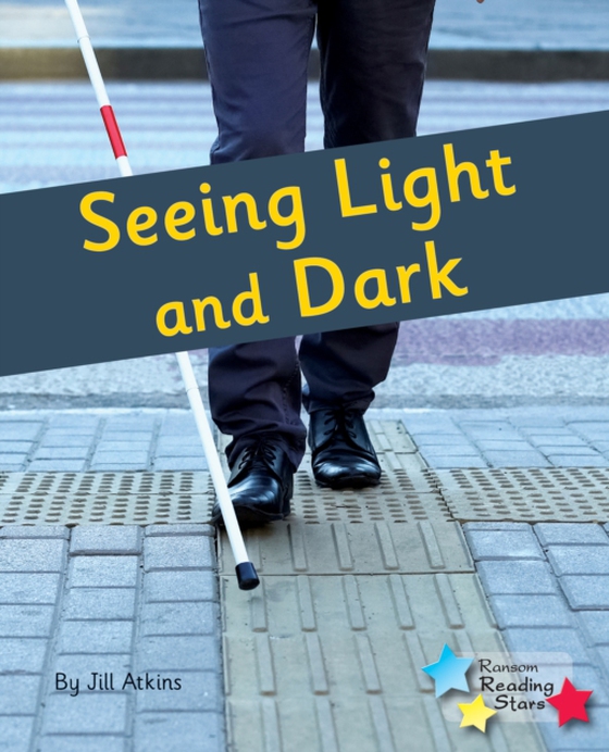 Seeing Light and Dark